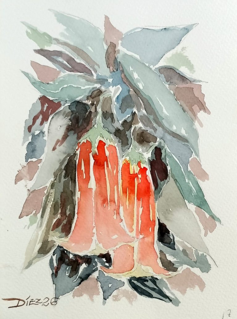 Acuarela Datura
