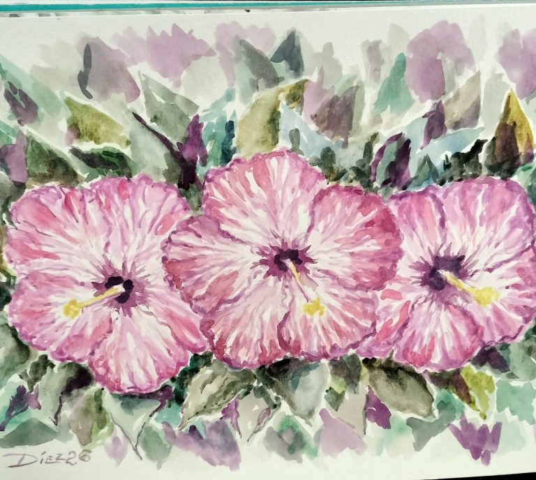Acuarela Hibiscos en fucsia