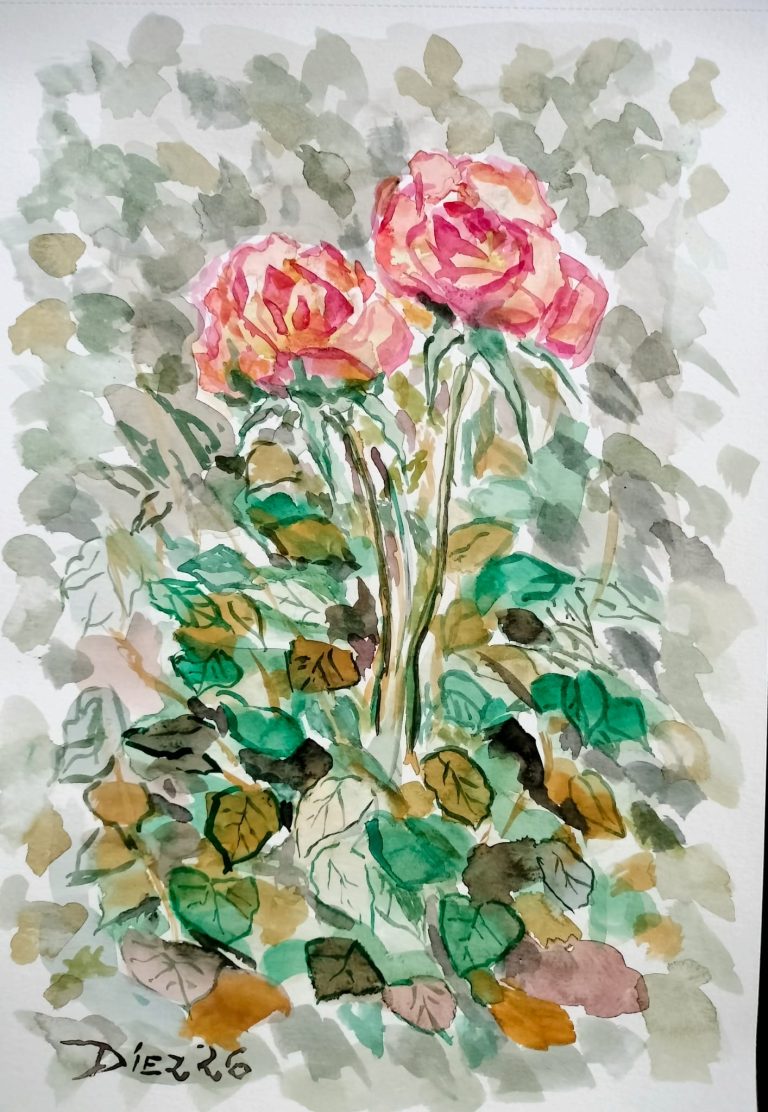 Acuarela Rosa Motion