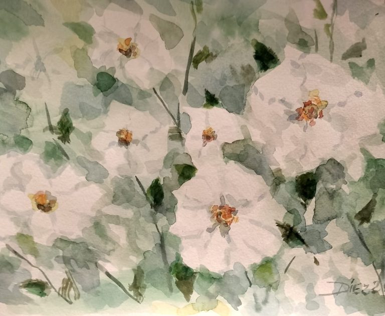Acuarela Rosas Blancas en Negativo